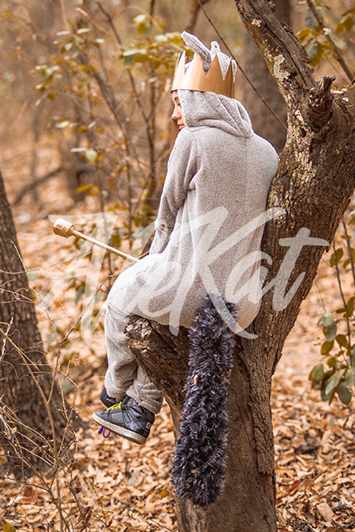 Max de Where the Wild Things Are