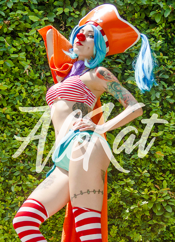 Buggy The Clown de One Piece Pool
