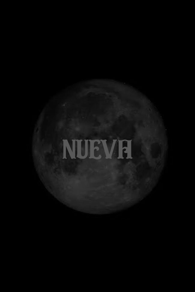 Luna Nueva